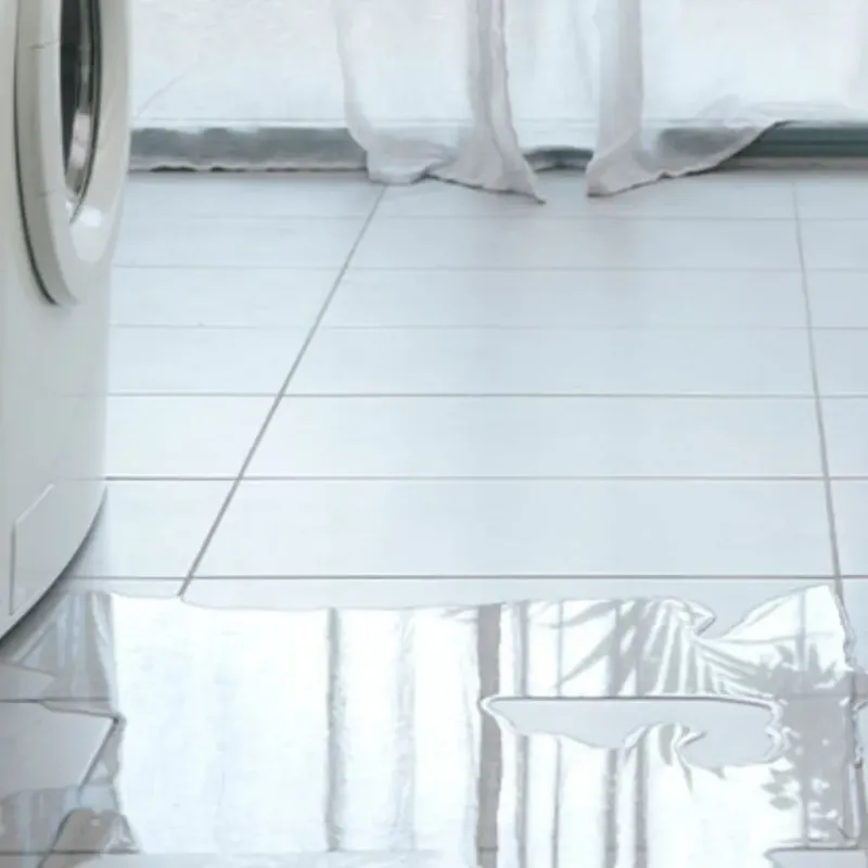 Appliance Leak Cleanup in La Center, WA