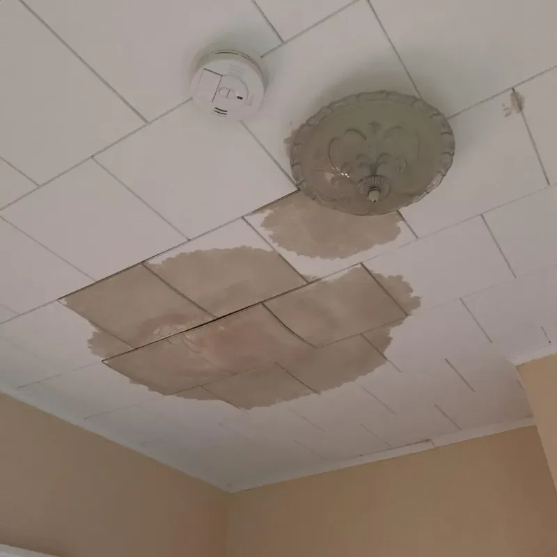 Ceiling Water Damage Repair in La Center, WA
